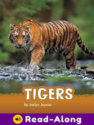 cover image of Tigers
